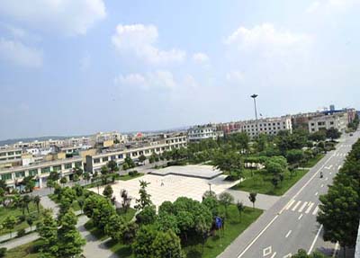 新津艺术职业学校在哪里