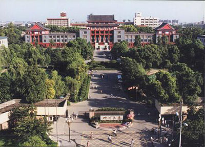 川大龙泉校区什么学历