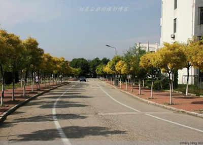 四川广播电视中等专业学校2020三年中专招生计划