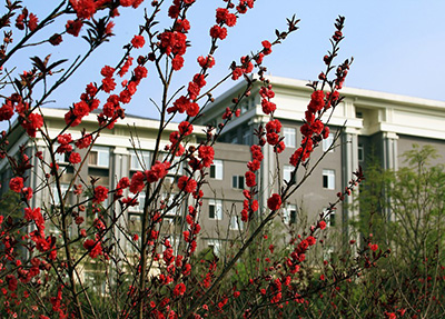学校景色