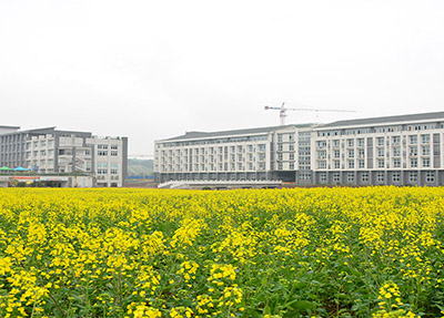 乐山市计算机学校是否公办