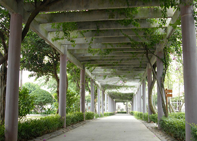 成都华新现代职业学院