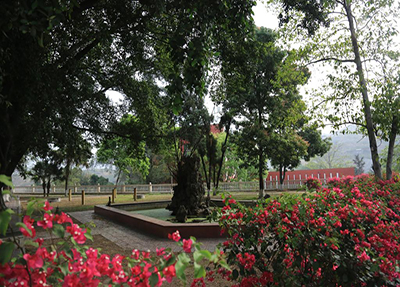 学校花园