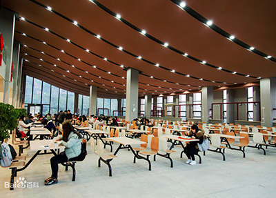 重庆艺术工程职业学院2020招生简章