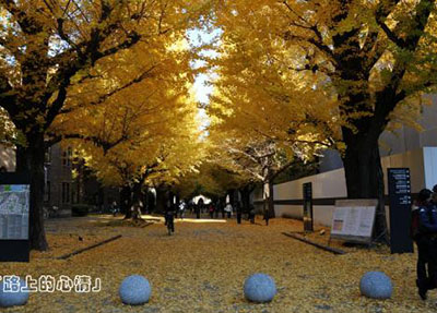 毕节职业技术学院2020录取分数线