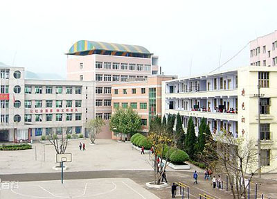 专业人才