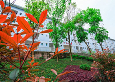 财经学院