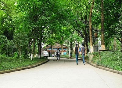 学校环境