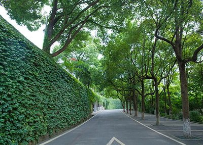 学生到校报名注册