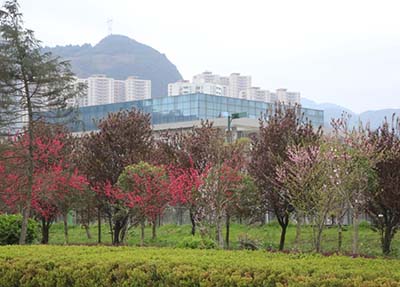 贵阳护理职业学院2020春季招生计划【找校必读】