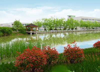 学校环境