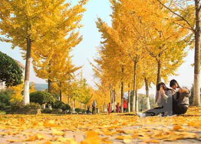 四川城市技师学院