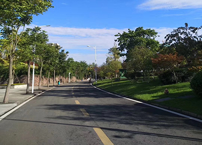 学校风景