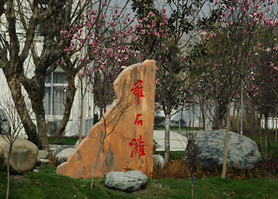 学校风景