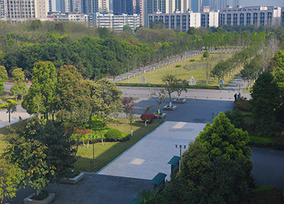 学校一景