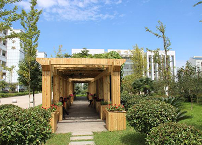 全日制学校