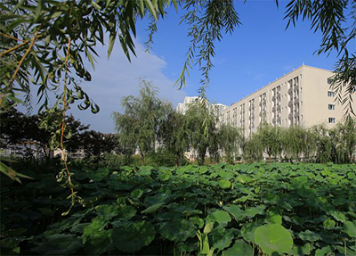 学校内湖