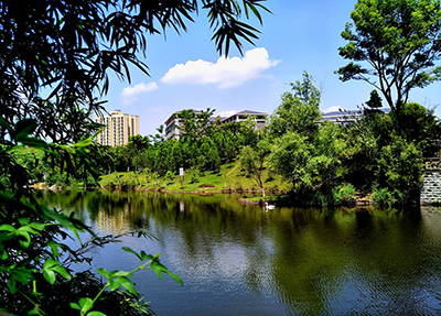 学院风景