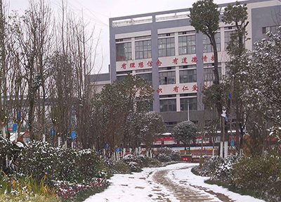 雪中校园