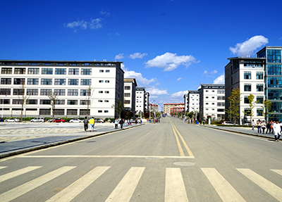 学校大道