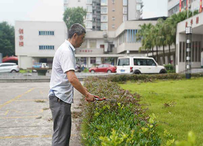 景观维护