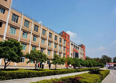 学校大道