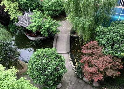 学校风景