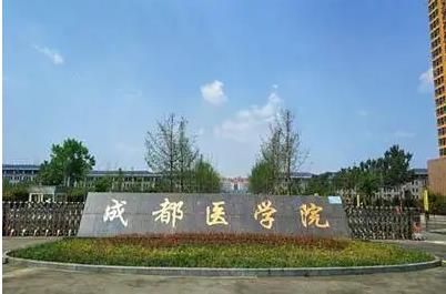 四川城市职业学院专升本对口学校有哪些 图片