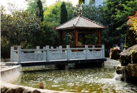 成都华大医药卫生学校录取分数线是多少  2022年必看