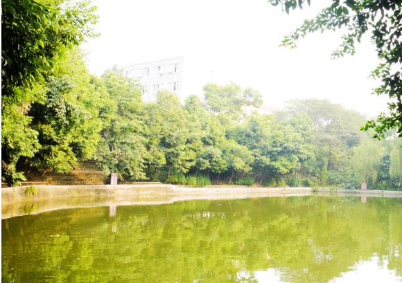 成都华大医药卫生学校是公办吗  靠谱吗