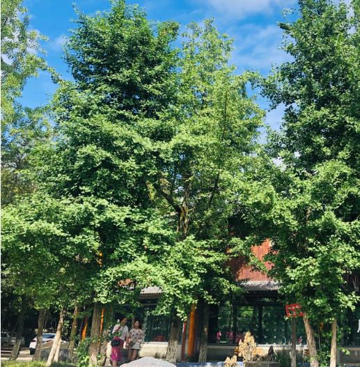 成都华大医药卫生学校是公办还是民办 靠谱吗