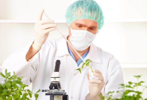 医学影像技术是干什么的 好就业吗