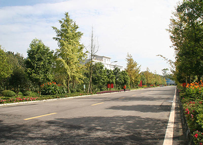 校园大道