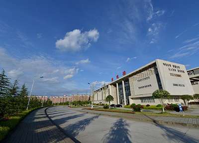 学前教育专业