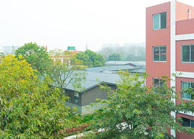 全日制学校