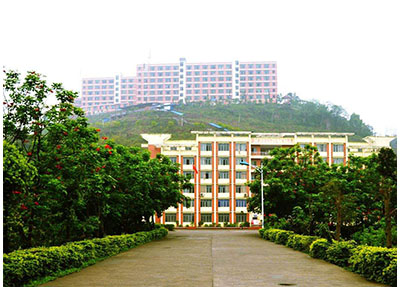 校园小道