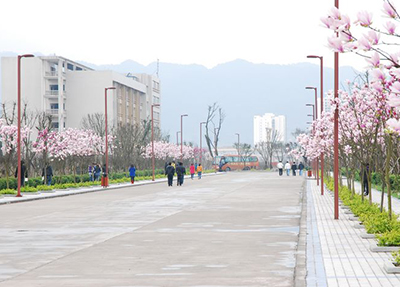 玉兰大道