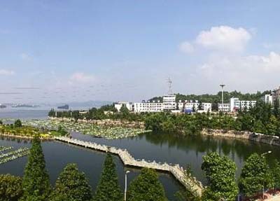 校园风景