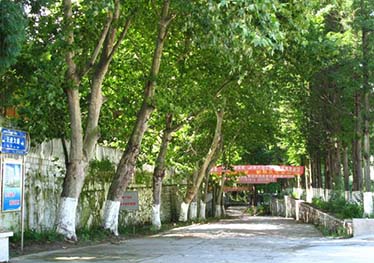 简阳红塔职业高级中学是公办还是民办