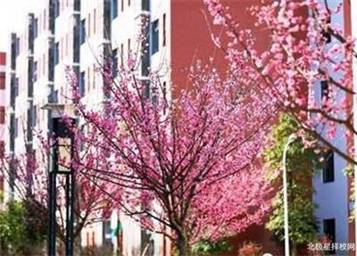 四川幼儿师范学校