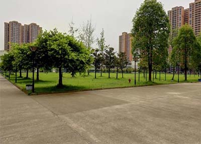 四川商务职业技术学校环境照片