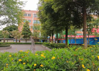 学校环境图片