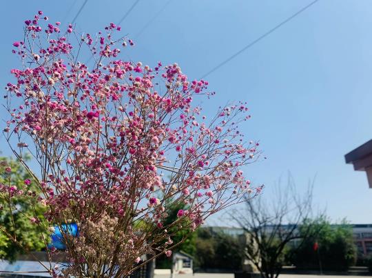 成都华大医药卫生学校好不好 学校怎么样